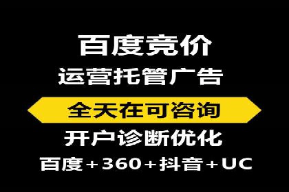 优化SEM竞价策略：成功案例剖析